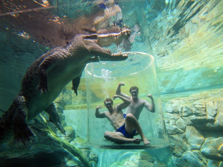 croc swim group travel activity
