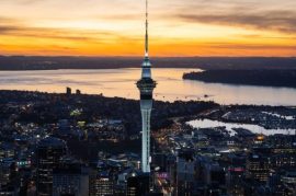 Magical Views from the Iconic Sky Tower