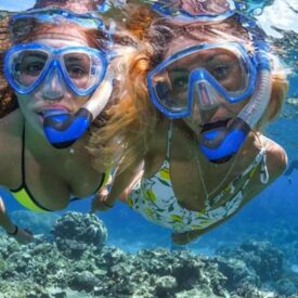 great-barrier-reef-top-cairns-attractions-team-trips-australia